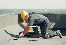 Best Skylight Installation and Repair  in St Joseph, MN